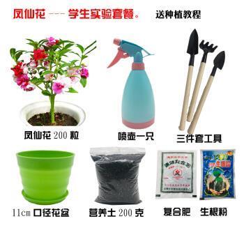 似水如鱼