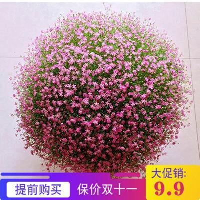 币圈韭菜名言