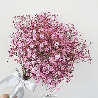 狗偷鼠窃