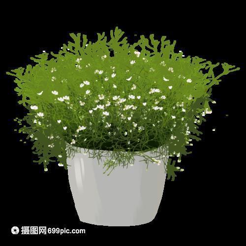 散闷消愁