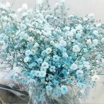 拍马溜须