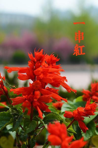 折冲千里