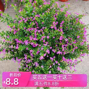 适合晚安的朋友圈心情句子 能够表达晚安的句子