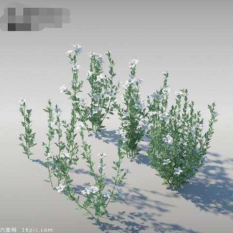 飞土逐宍