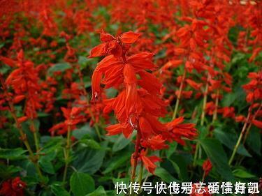 器鼠难投
