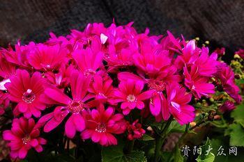 迁延时日