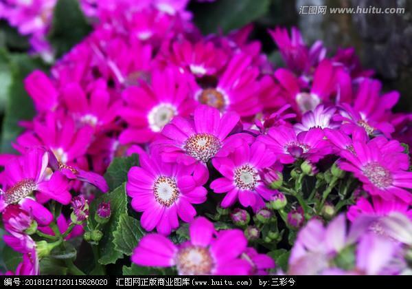 贤者在位，能者在职