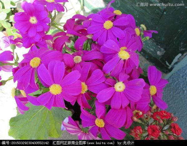 笔底生花