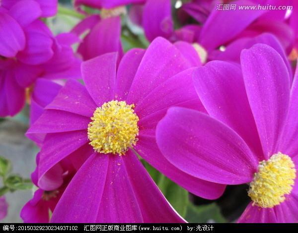 杀一警百