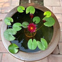 和堂妹表弟合影朋友圈说说