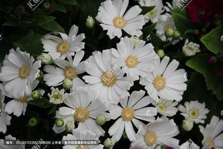 自怨自艾