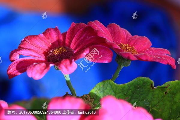 不塞下流，不止不行