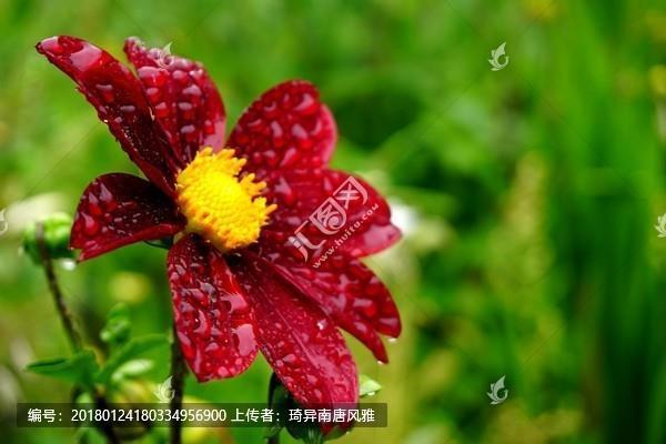 禁中颇牧