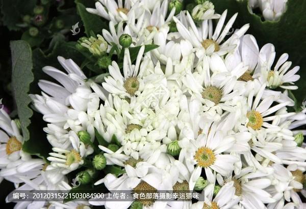 断管残渖