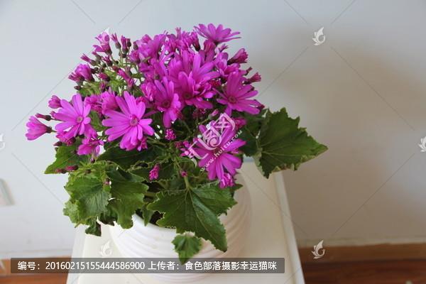 破觚为圆