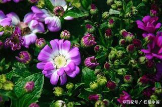 面面俱到