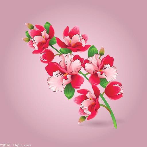 烟雾弥漫