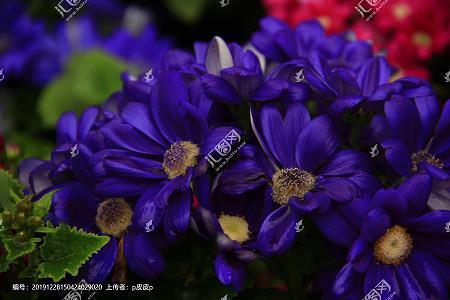 确固不拔