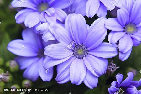 全神贯注