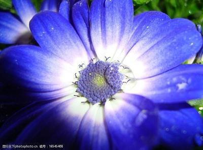 身不遇时