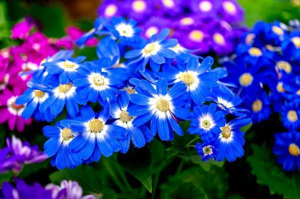 不修小节