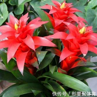捉奸要双，抓贼要赃