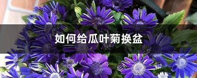 朝夕之策
