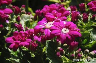暑来寒往