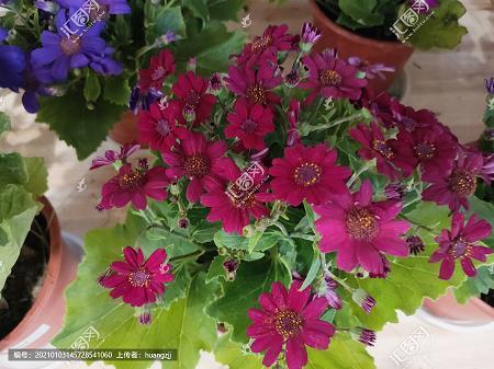 关于爱情的忧郁伤感的签名 爱是一生的磨难