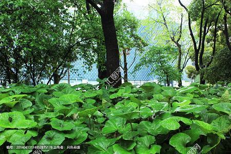 情随境变