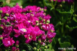 送往迎来