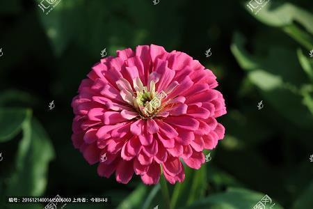 生荣死衰