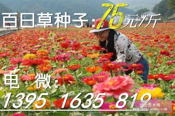 深仇重怨