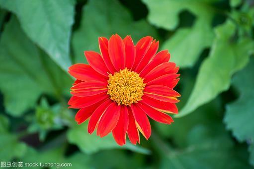 留芳千古