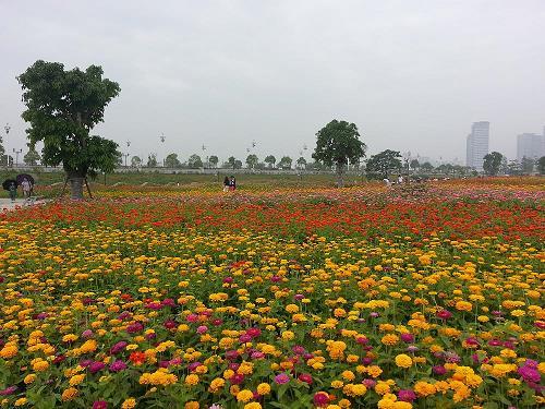 羞与为伍