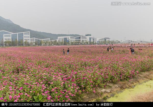 打翻身仗