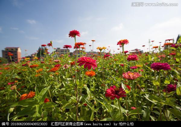肝心涂地