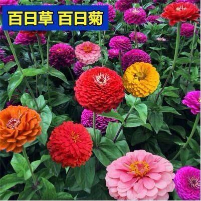 无往不复