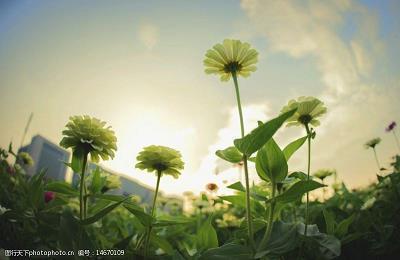 片瓦无存