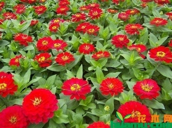 道高一尺，魔高一丈