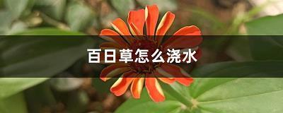 九间大殿