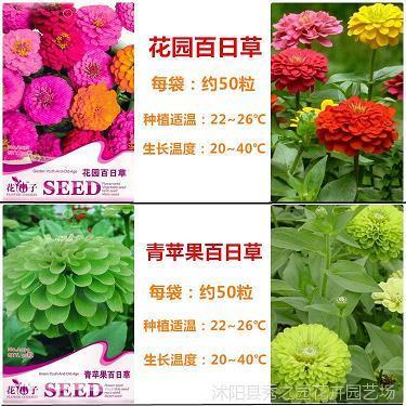 杯水粒粟