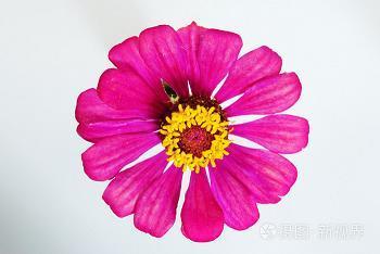 六问三推