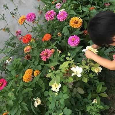 刿鉥肝肾