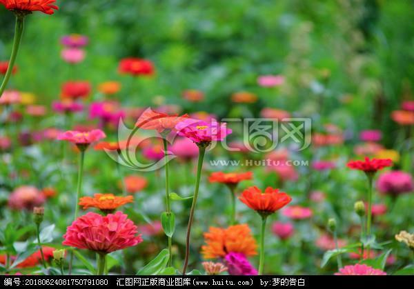 力小任重