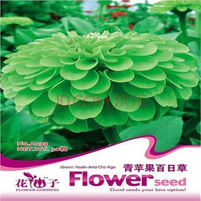 最新的英语新年祝福语大全