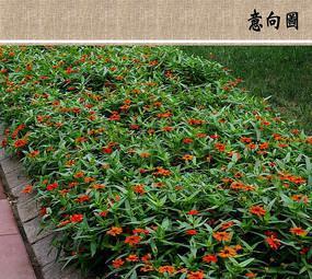 长虑却顾