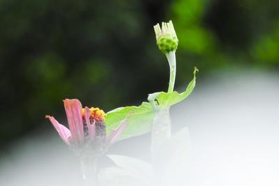 砥节砺行