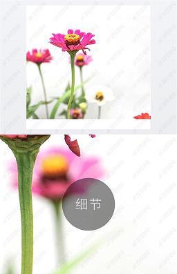 百看不厌