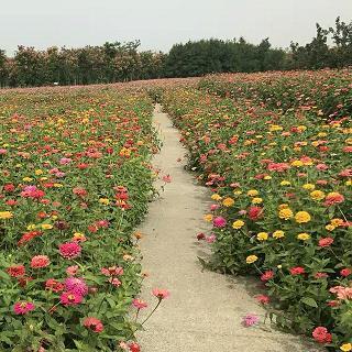 绳愆纠缪
